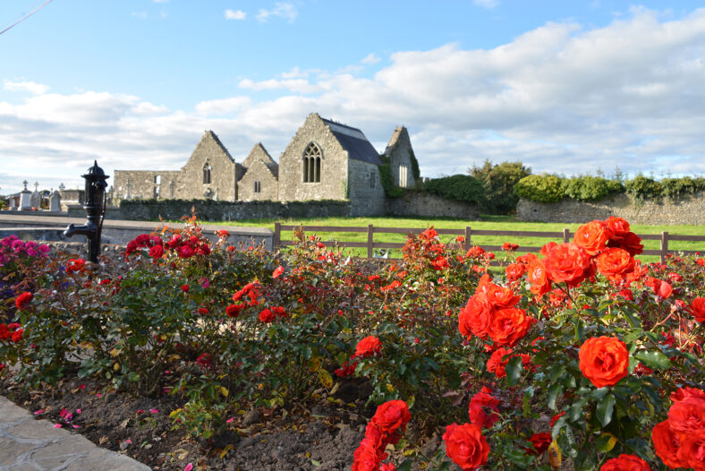 Carthusian Abbey | Robert Riddell