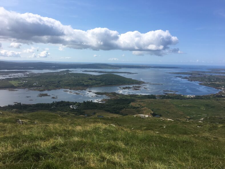 Cashel | Rachel McDonagh