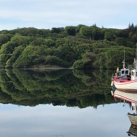Mirror Image | Jim O'Sullivan