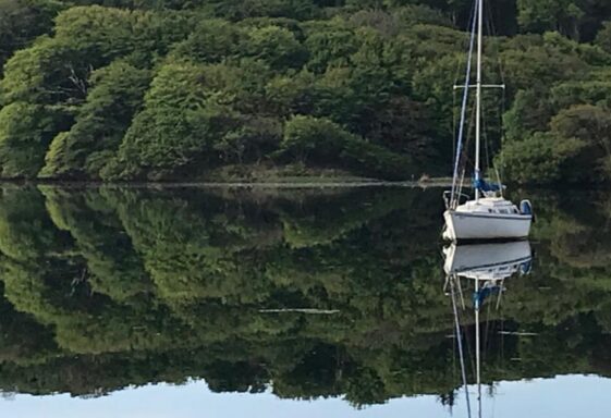Mirror Image