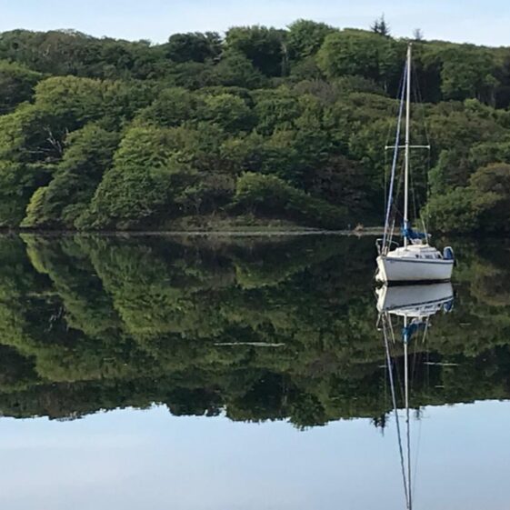 Mirror Image | Jim O'Sullivan