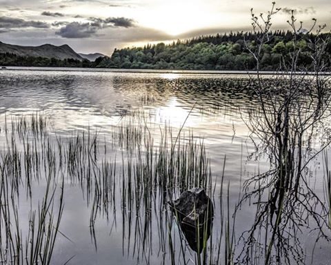 Land and waterscapes