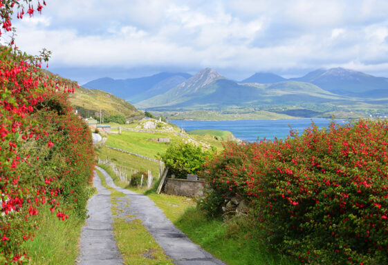 Connemara Laneway Letter More Derryinver