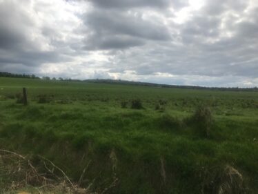 Field in Cuilnacappy | Carmel O'Rourke