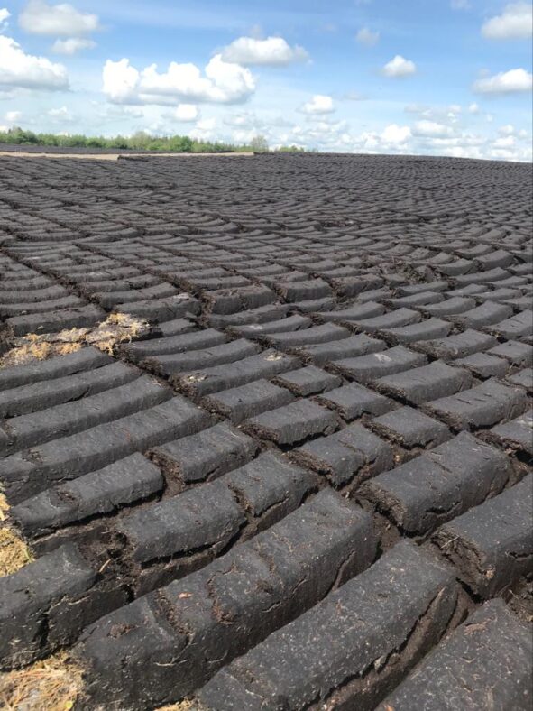 Our turf looks like bars of chocolate | Marka Gilhooley 