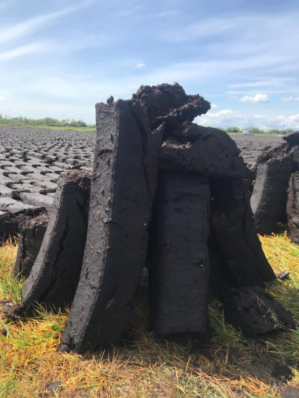 Bog | Marka Gilhooley