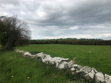 Curraghbog Landscape | Carmel O'Rourke