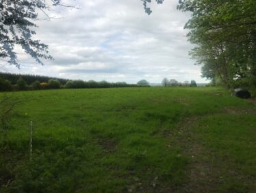Field in Curraghrevagh | Carmel O'Rourke