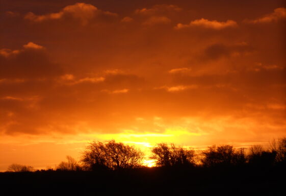 Dawn