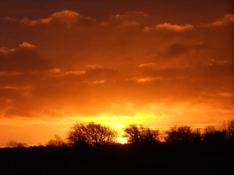 Dawn | Michael Hurley