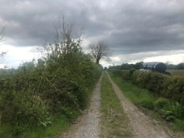 Lane in Funshin | Carmel O'Rourke