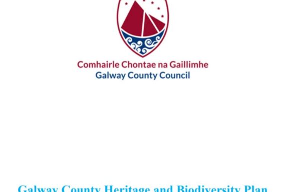 Galway County Heritage and Biodiversity Plan