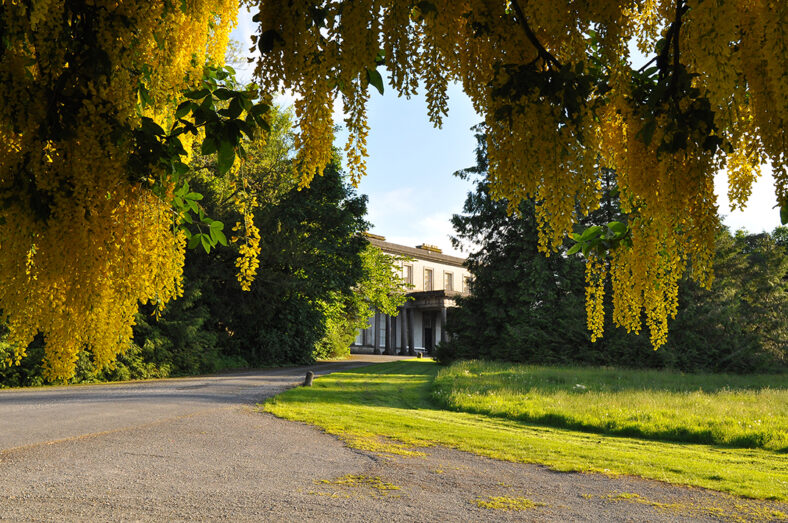 Garbally Park | Robert Riddell