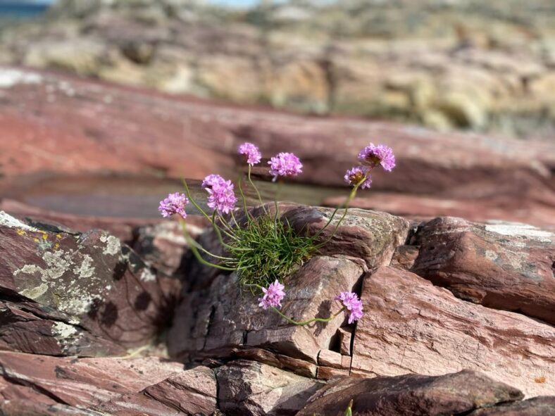Glassillaun Beach | Thomas O'Sullivan