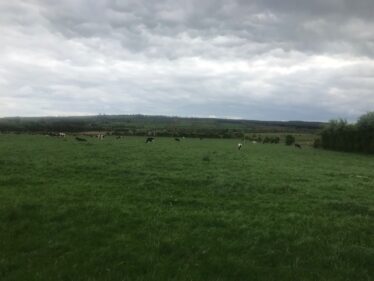 Field in Gorteenfadda | Carmel O'Rourke