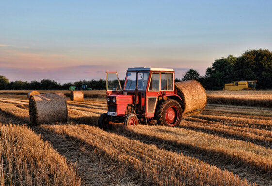 Harvest
