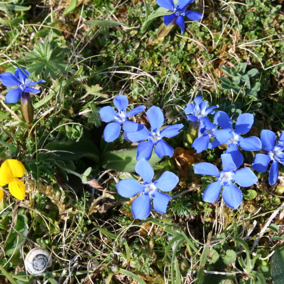 Inis Oirr