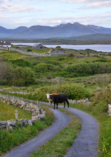 Inisnee | Robert Riddell
