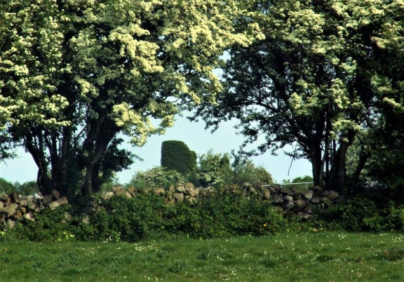 The ruin of a Teach Mor at Knockdoe Hill
