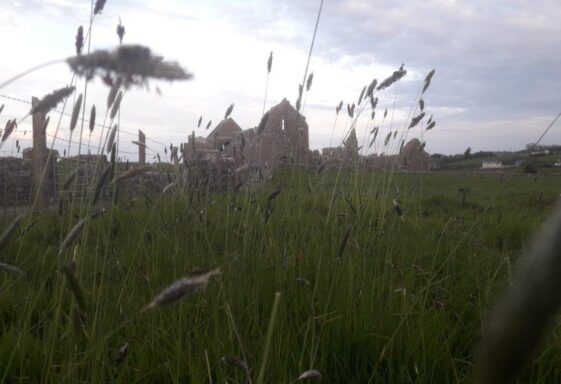 Knockmoy Abbey