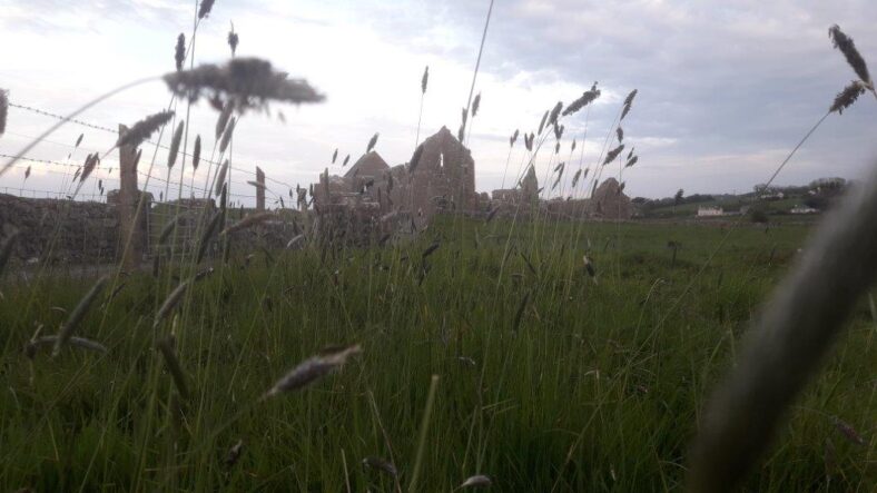 Knockmoy Abbey | Paul Connolly
