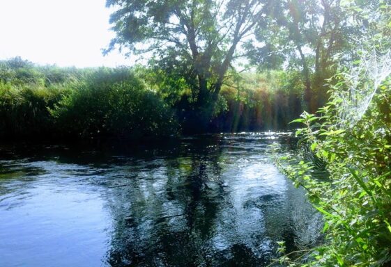 The Clare River