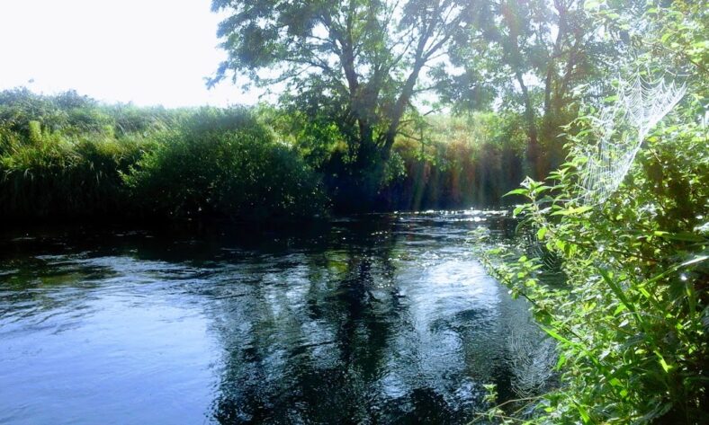 Clare River | Michael Hurley