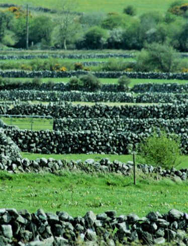 Fields and stone walls | Michael Hurley 