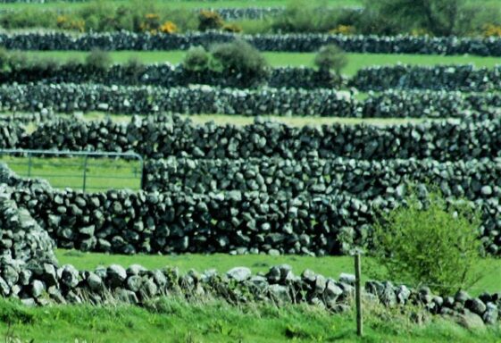 Fields and stone walls in Lackaghbeg