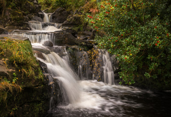 Waterfall