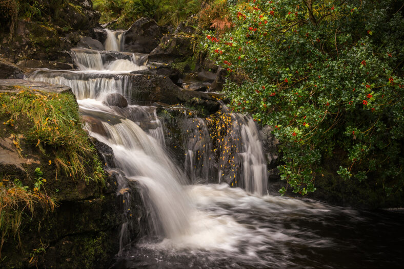 Leenane Waterfall | Robert Riddell