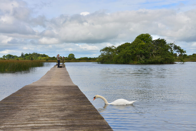 Lough Acalla | Robert Riddell
