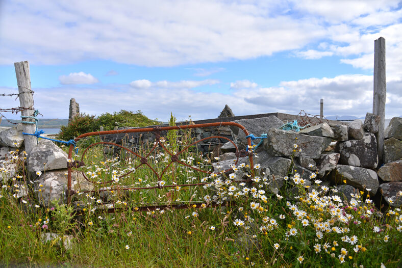 Mannin Bay Gate | Robert Riddell