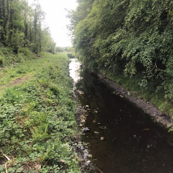 Monivea Woods |  Marka Gilhooley 