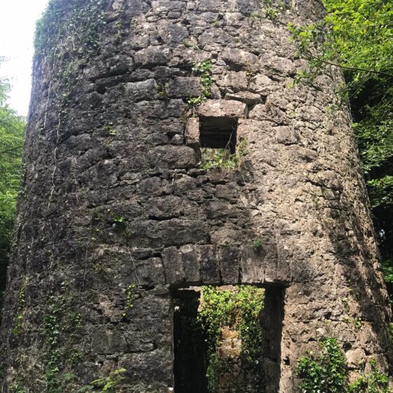 Monivea Woods |  Marka Gilhooley 