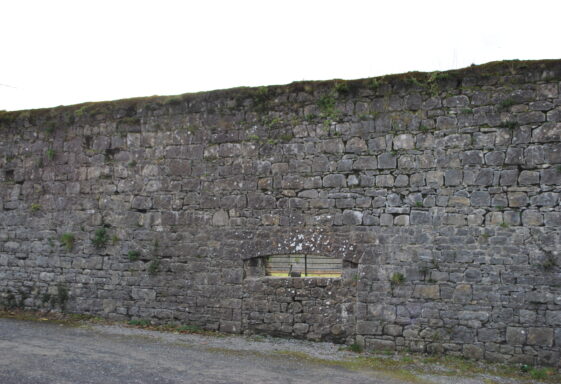 Mountbellew Demesne