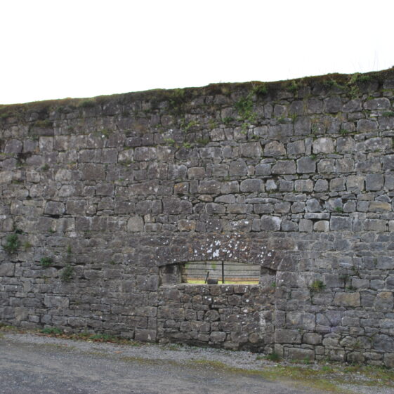 Mountbellew Demesne