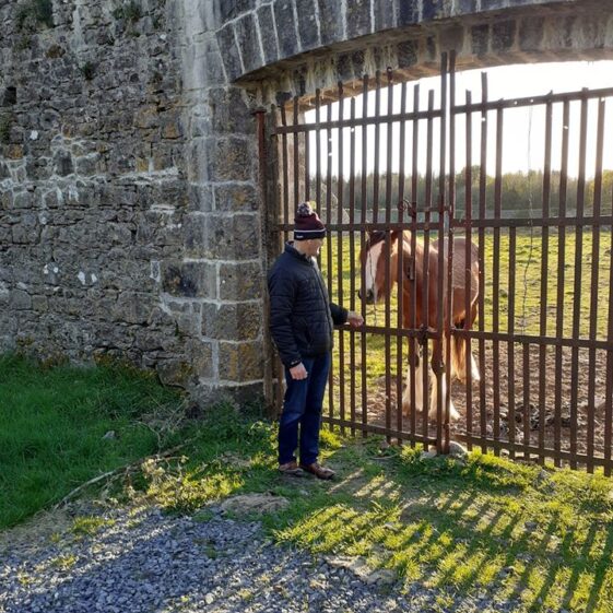 Mountbellew Walled Garden | Jim Noone 