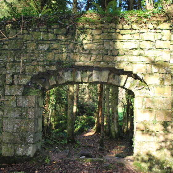Mountbellew Demesne