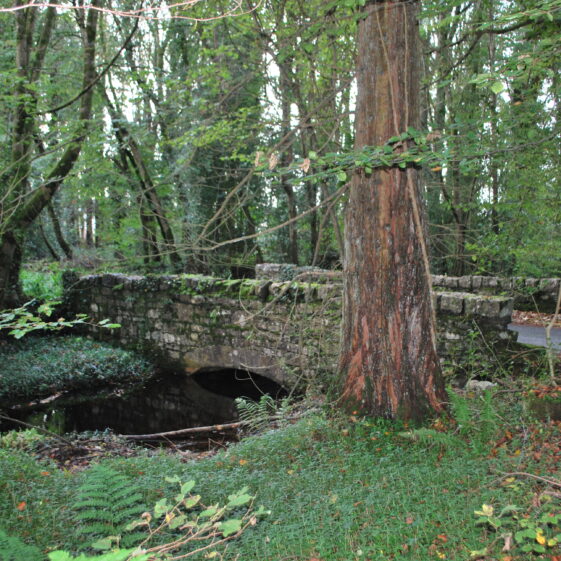 Mountbellew Demesne