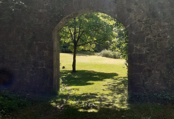 One of the many Arches