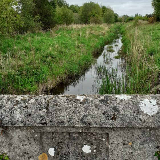 bridge | Geraldine Noone