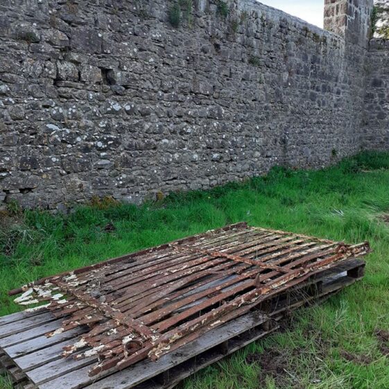 Mountbellew Walled Garden | Jim Noone 