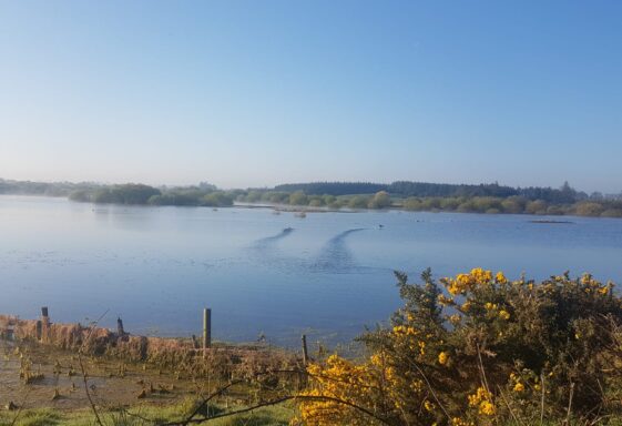 Loch na Lasradh