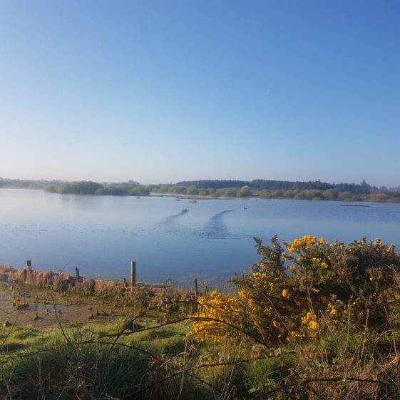 Loch na Lasradh, Lakeview  | Anne Mannion