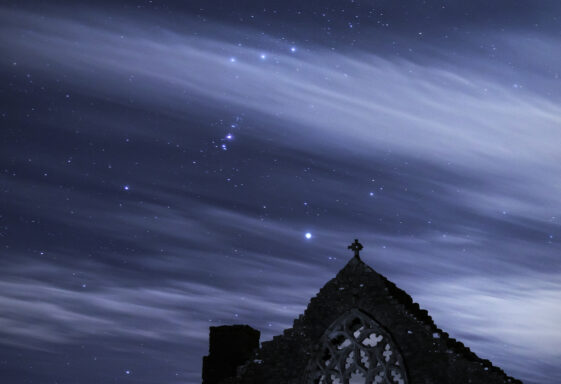 Orion