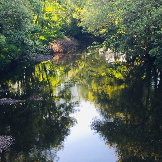 Water reflection | Antoinette Lydon