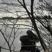 Out walking