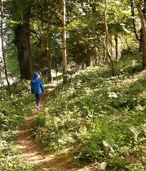 Out walking