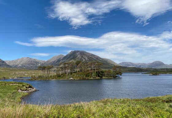 Pine Island